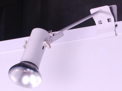 Spot light Rental bangladesh